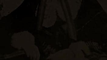 Dark Lantern Entertainment Presents Two Centuries Of Vintage Porn XVIDEOS