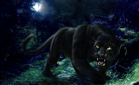 Black Panther HD Wallpapers - HDWallpapers360