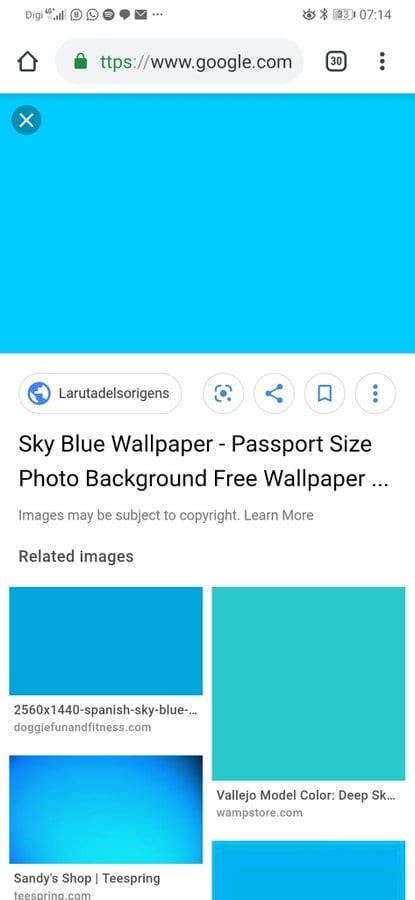 Gambar Passport Background Biru Andrew Ince