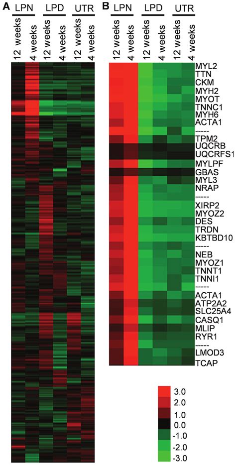 Cluster Heat Maps Of Genes Expression Comparisons A The Complete Map Download Scientific