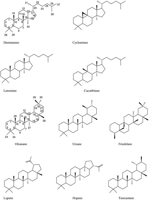 Structures Of Some Tetracyclic And Pentacyclic Triterpene Skeletons