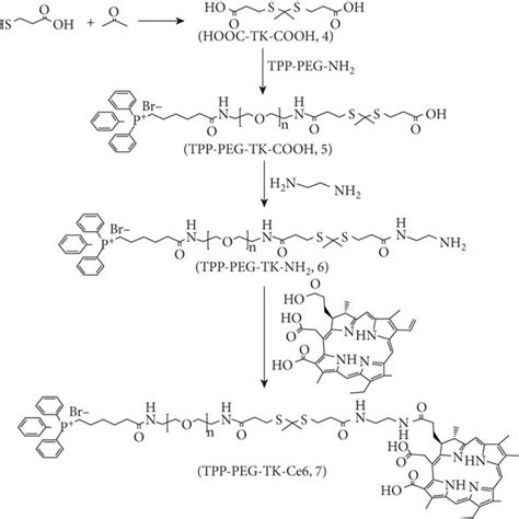 The Synthesis Pathway Of Tpp Peg Nh A Hooc Tk Cooh B And The