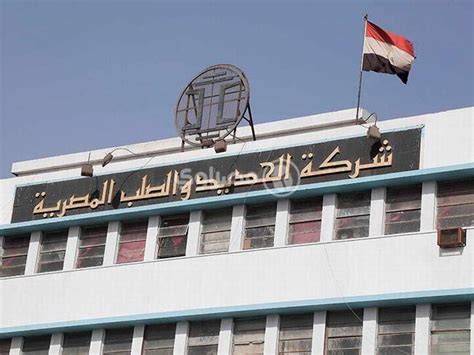 Egyptian Iron and Steel approves land valuation at EGP 1.23bn to settle debt - Arab Iron and ...