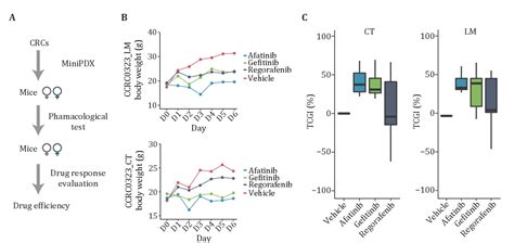 Figure 3 From Integrated Proteomic And Phosphoproteomic Data