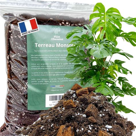 Terreau Monstera Premium Terreau Rempotage L Terreau Plante D