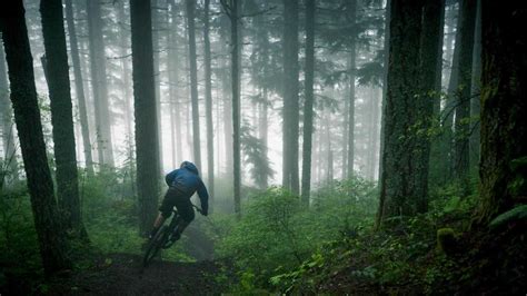 Mountain Bike Trail Wallpapers Top Free Mountain Bike Trail