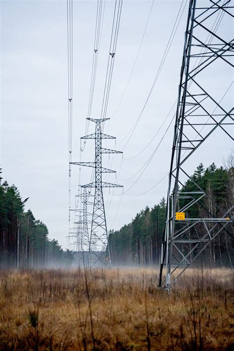 Elektrosmog Co To Jest I Jak Wp Ywa Na Nasz Organizm Monitoring