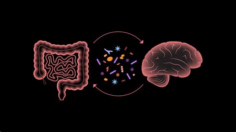 Study Finds Microbiota Transfer Therapy Provides Long Term Improvement