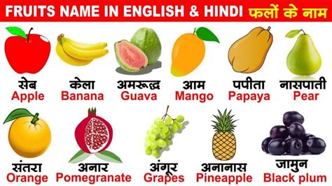 Fruits Name ll Learn Fruits Name In Hindi and English ll फल क नम