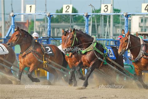 ばんえい競馬 写真素材 4975883 フォトライブラリー Photolibrary