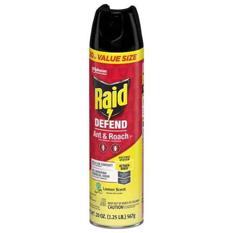 Raid Ant Killer Online | crescendocompetition.org