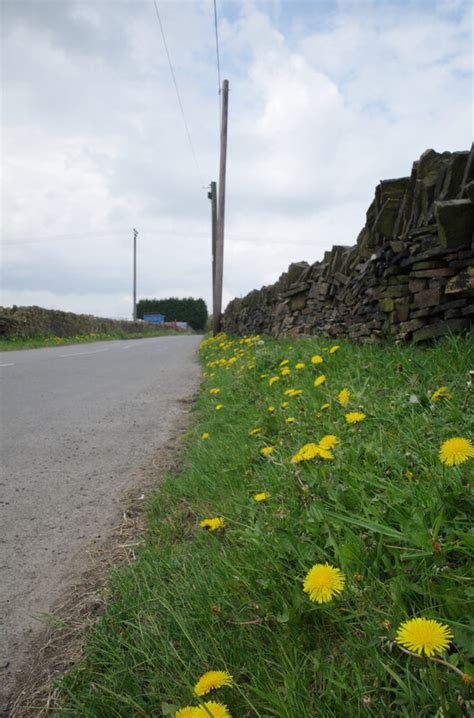 High Cross Lane Pepper Hill Shelf Habiloid Cc By Sa Geograph