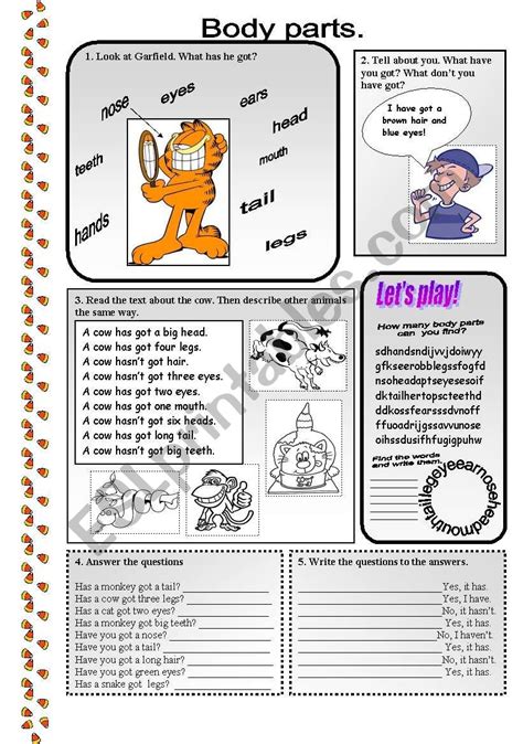 Body Parts Have Got Has Got Esl Worksheet By Englishspb