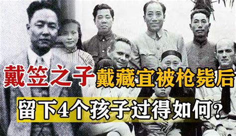 【历史的宝库】1946年戴笠坠机身亡后，儿子戴藏宜被枪决，4个孙子过得怎样？ 超过7千粉丝560作品在等你军事视频 免费在线观看 爱奇艺