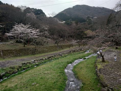 初めてのお千代保稲荷さんと何十年ぶりかの養老の滝 奈良が大好きな京都のオバハンのブログ