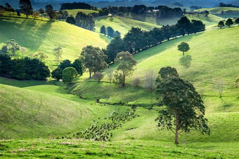 Wallpaper Sunlight Trees Landscape Sunset Nature Sky Shadow Field Green Morning Farm