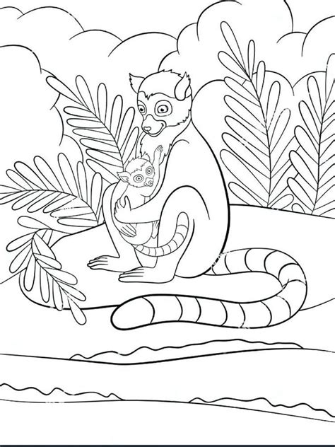 Free Printable Lemur Coloring Pages Lemur Is One Of The Primates That