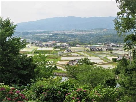 高野山麓 橋本新聞 緑の植田、涼風そよぐ♪橋本・恋野～分水戸で引水