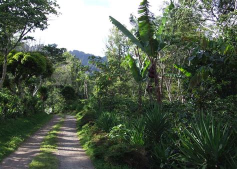 Matagalpa Coffee Tour Nicaragua Audley Travel Uk