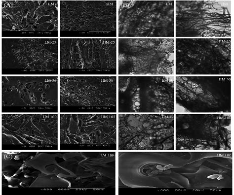 A Scanning Electron Microscopy And B Optical Micrographs Of Surface