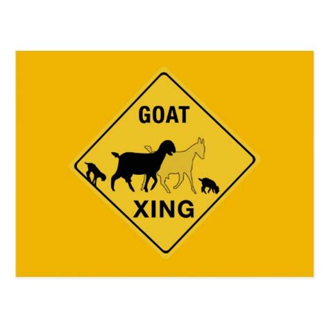 Goat Crossing Traffic Warning Sign Indiana Usa Postcard Zazzle