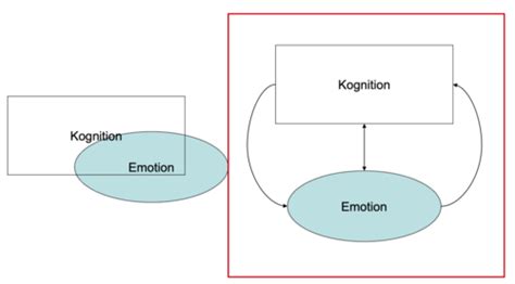 Emotion Und Kognition Karteikarten Quizlet