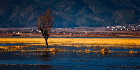 Lashi Lake - Travel China with Me