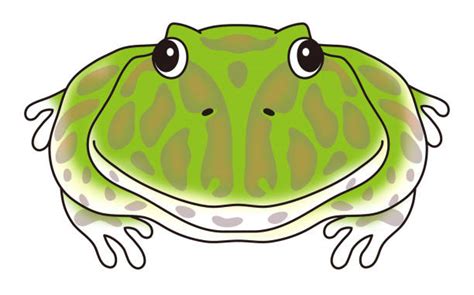 10+ Horned Frog Cartoon Stock Photos, Pictures & Royalty-Free Images ...