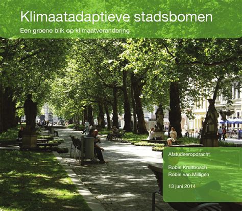 Klimaatadaptieve Stadsbomen Robin Van Milligen En Robin Kruitbosch By