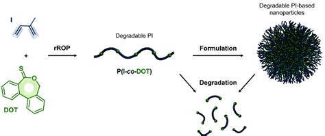 Synthesis Of Degradable Vinyl Polymer Nanoparticles Via Radical Ring