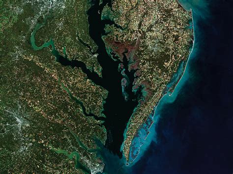 Aquatic Plants May Help Chesapeake Bay Resist Ocean Acidification Eos