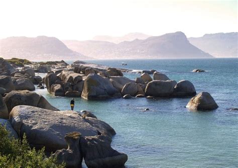 False Bay: Surfing, Penguins & Scenic Drives in Cape Town