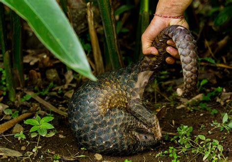 Peter Knights: The world’s wake-up call. - Oceanographic