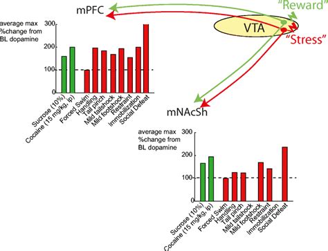 Reward And Stress Activate Vta Dopamine Neurons Increasing