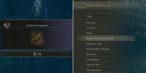 Elden Ring Shadow Of The Erdtree How To Get Use Scadutree