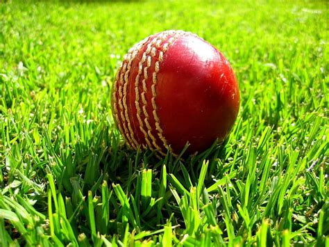 Cricket 1080P, 2K, 4K, 5K HD wallpapers free download | Wallpaper Flare