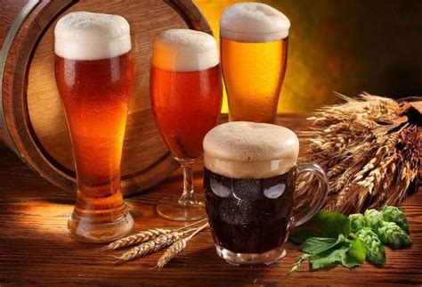 Como Fazer Cerveja Artesanal Em Casa Artofit