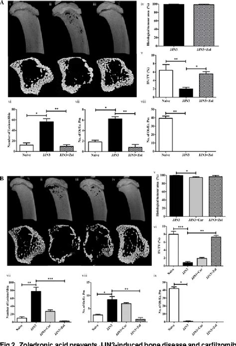 [PDF] NOD/SCID-GAMMA Mice Are an Ideal Strain to Assess the Efficacy of Therapeutic Agents Used ...