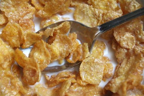 New Cereal: Kellogg's Cinnamon Frosted Flakes Review!