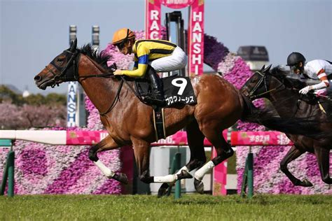 【金鯱賞】素質馬が中内田師＆川田将雅騎手のコンビで重賞初v狙う！大阪杯の前哨戦の注目点｜競馬ニュース｜競馬予想のウマニティ