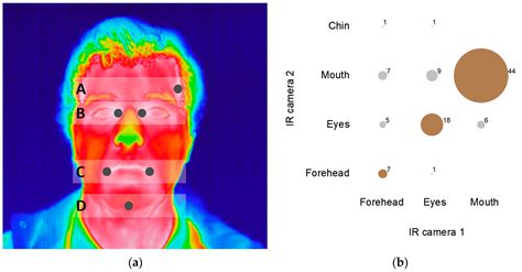 Infrared Thermography to Evaluate Thermal Comfort under Controlled
