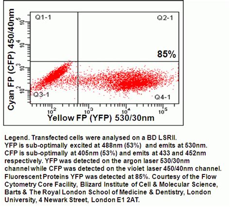 Fluorescent Proteins Flow Cytometry Core Facility