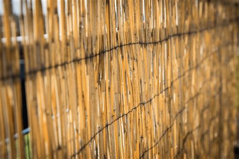 Bamboo Fence Balcony Royalty Free Images Stock Photos Pictures