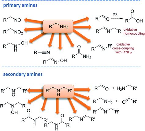 Functional Group Diversity Generated By Oxidation Of Primary Or