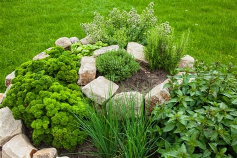 How To Build An Herb Spiral Planning Building Plants And Maintenance