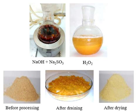 Stages Of Chemical Modification Download Scientific Diagram