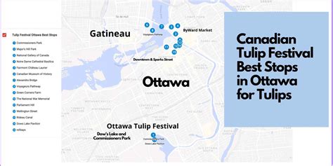 Ultimate Guide to the Canadian Tulip Festival 2023 - The Planet D