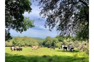 Ferme et exploitation agricole à Hanvec 29460