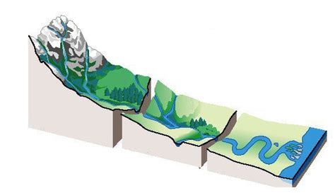 Blog 2 — The Science Of Rivers