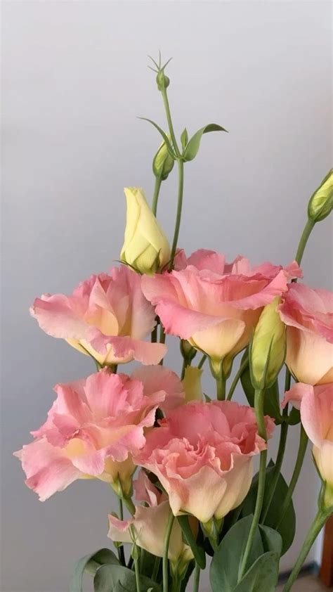 Pin di beautiful art su Ваши пины Fiori Composizioni floreali